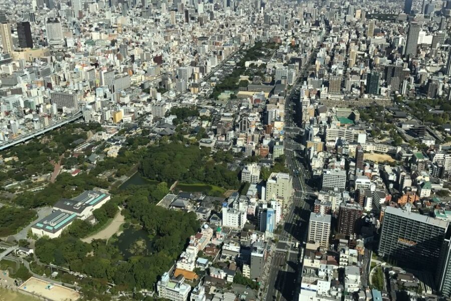 Osaka: Full-Day Sightseeing Tour by Private Vehicle - Dotonbori: the Times Square-style energy, plus real stories