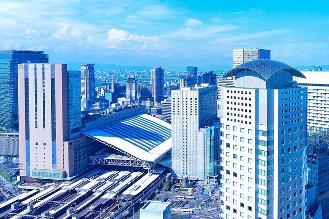 Osaka Full Day Walking Tour with Local Expert Guide - Dotonbori and Shinsaibashi-suji: food + signs + an Osaka reality check