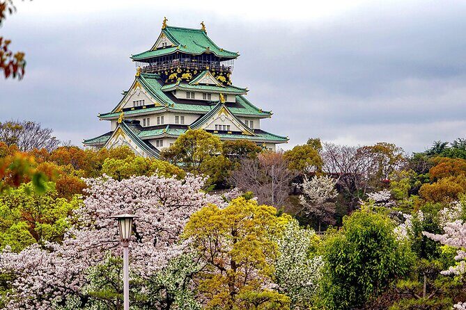 Osaka Full Day Walking Tour with Local Expert Guide - Price and logistics: what you’re really paying for