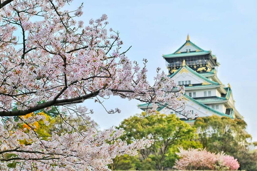 Osaka: Kyoto and Nara Private Day Trip - Nishiki Market, Gion, and Kiyomizu-dera: Three Kyoto Stops With Break Time