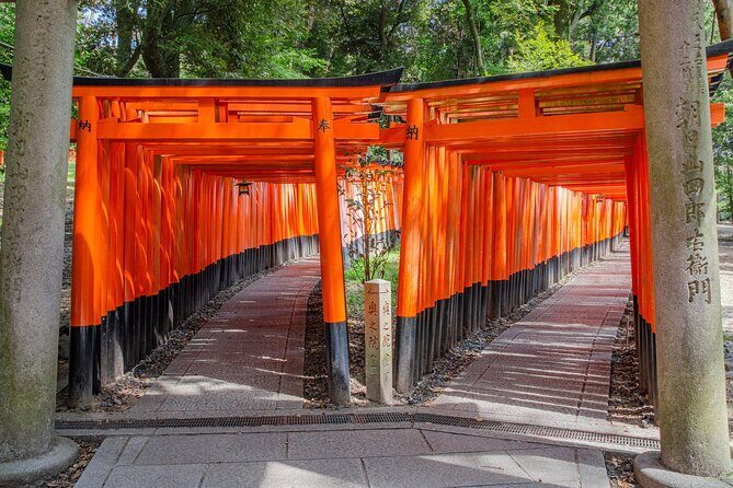 Osaka/Kyoto: Arashiyama, Fushimi Inari & Nara Park Day Trip - Nara Park Deer Time: Fun, Cute, and Surprisingly Practical