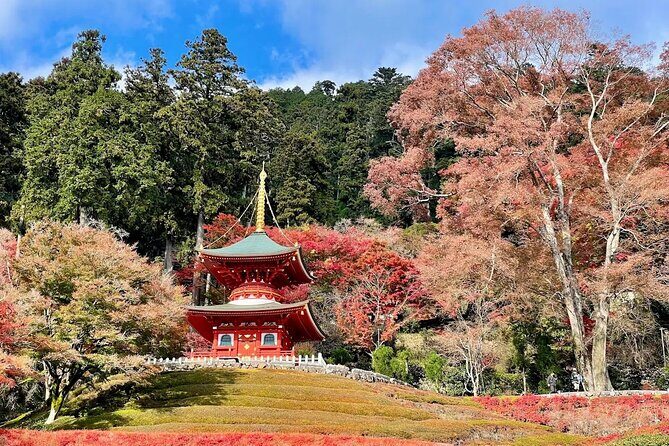 Osaka / Kyoto: Katsuoji, Arashiyama & Kinkaku-ji One Day Tour - Kinkaku-ji (Golden Pavilion): the big finish, 40 minutes well spent
