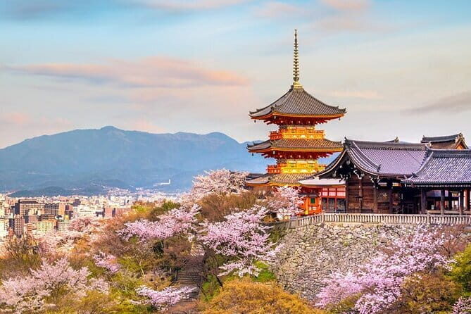 Osaka & Kyoto & Nara Top Hightlights English Speaking Tour - Key highlights worth your attention