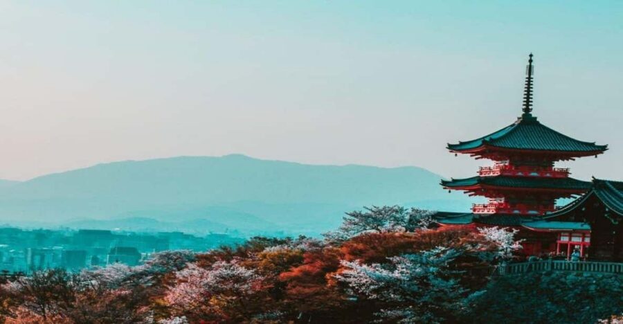 Osaka : Must-see & Hidden Gems Walking Tour - Starting in Namba: where the tour gets practical