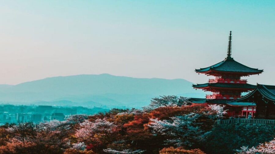 Osaka : Must-see & Hidden Gems Walking Tour - Tsuruhashi and Korea Town: the alleys that change the mood
