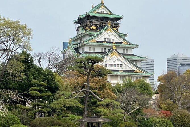Osaka: Nara, Todaiji, Uji Matcha, and Hot Spring Tour - Practical tips so the day feels smooth (not exhausting)