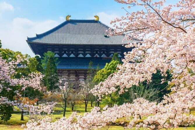 Osaka: Nara, Todaiji, Uji Matcha, and Hot Spring Tour - Nara Park deer time: fun photos, real crowd energy