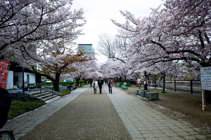 Osaka: Osaka Castle 3 hours Historical Walking Tour - Nishinomaru Garden: Quiet Footsteps and Castle Views