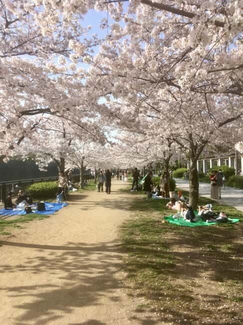 Osaka: Private and Fully Customized Tour with Hotel Meet Up - Key things that make this Osaka private tour worth your time