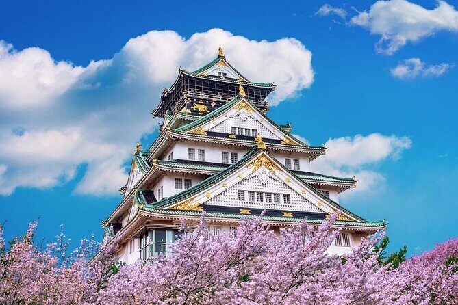 Osaka Private Cherry Blossom Tour with a Local – Picnic Included - Riverside promenade first: big sakura rows and space to spread out