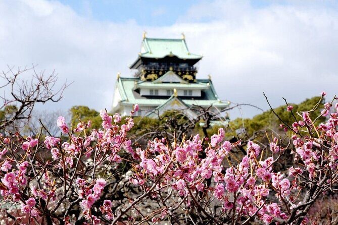 Osaka Private Cherry Blossom Tour with a Local – Picnic Included - Osaka Castle Park and the bridge reflections: classic views with a picnic-friendly flow