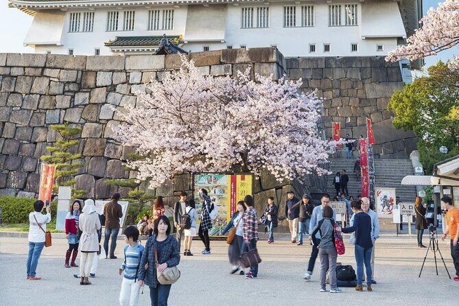 Osaka Private Cherry Blossom Tour with a Local – Picnic Included - The 1970 Expo park stroll and O River ending: space for one last sakura moment