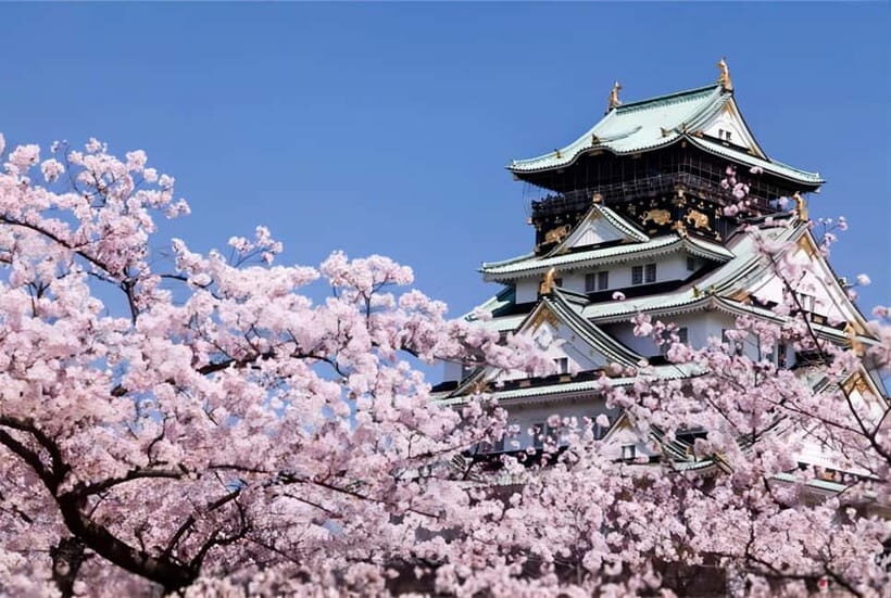 Osaka: Private Customizable Day Tour with Hotel Transfer - Osaka Castle: the landmark stop that sets the tone
