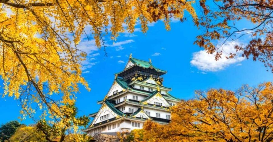 Osaka: Private Customizable Day Tour with Hotel Transfer - What the guides do right: adaptation and good vibes