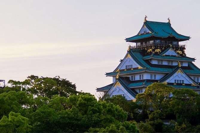 Osaka Private Customizable Half Day Tour - A private 4-hour plan built around you