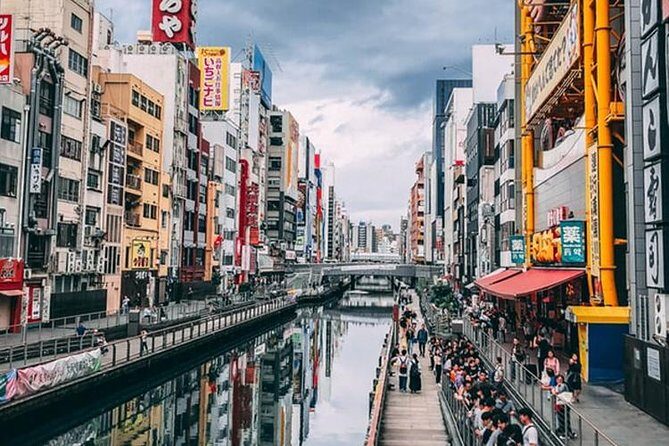 Osaka Private Customizable Half Day Tour - Bay-area ferris wheel and aquarium-zone views