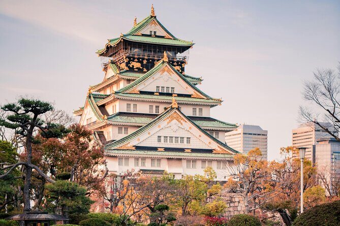 Osaka Private Hightlights Tour Customizable & English Driver - Key highlights worth your attention