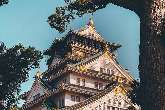Osaka Private Hightlights Tour Customizable & English Driver - Who should book this Osaka highlights private tour