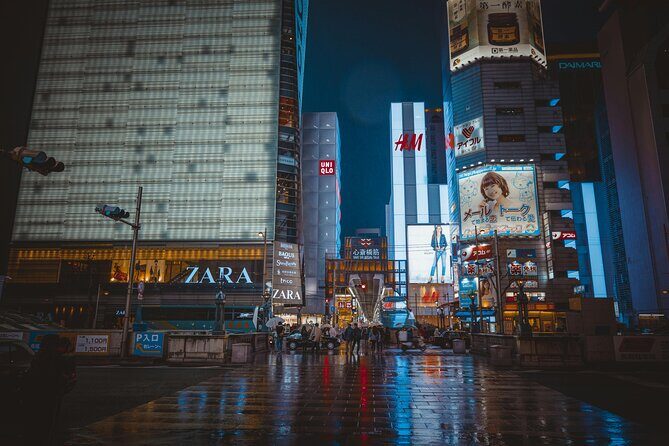 Osaka Private Hightlights Tour Customizable & English Driver - Should you book?