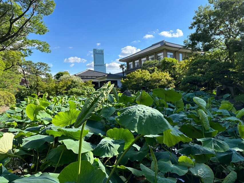 Osaka: Private Tour of Shitennoji, Osaka's Oldest Temple - Price and Time: Is $60 for 90 Minutes a Good Deal?