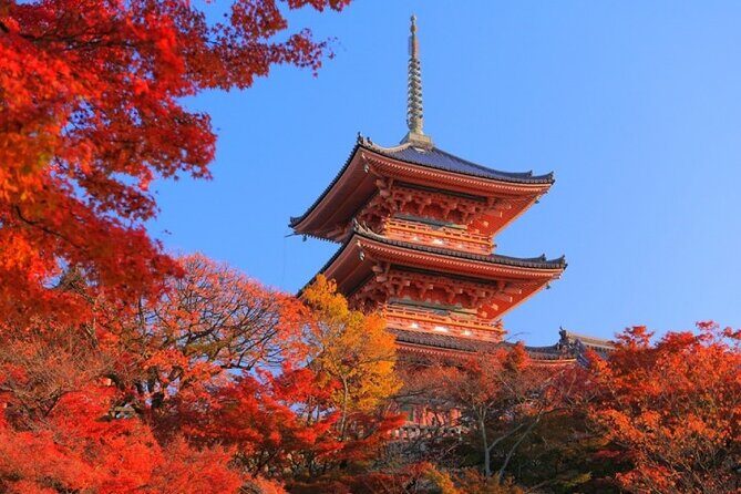 Private Day Tour in Osaka and Kyoto with charter car - Charter Car Value: You’re Paying for Time and Calm