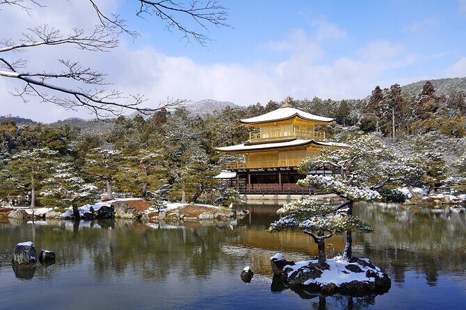 Private Day Tour in Osaka and Kyoto with charter car - Nishiki Market: Where Your Kyoto Day Turns Practical
