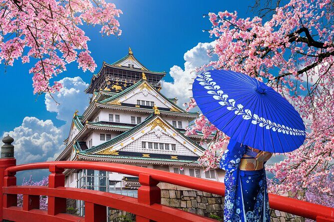 Private Day Tour in Osaka and Kyoto with charter car - Route Choices: Pick the Day You Want, Not the One You’re Stuck With