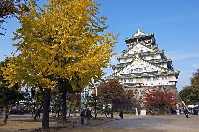 Private Departure Transfer: Osaka City to Osaka Itami Airport - What happens after pickup: the car ride and the airport drop