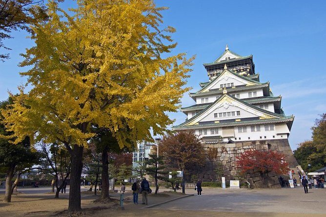 Private Departure Transfer: Osaka City to Osaka Itami Airport - Booking details that affect how smooth your day feels