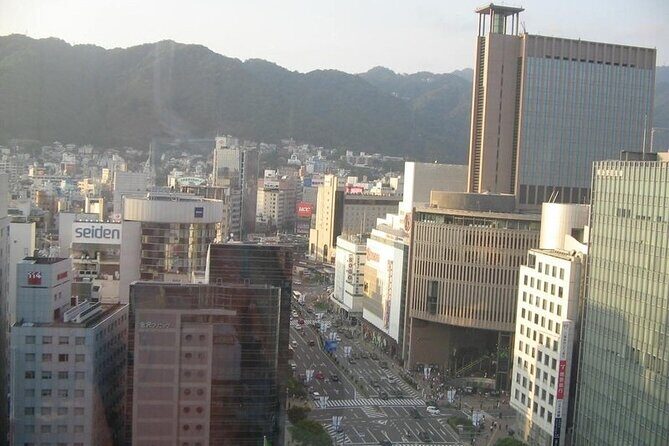 Private Full-Day Guided Tour in the City of Kobe - Harborland: A Clean Finale With Port Views