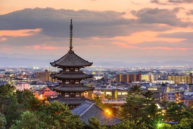 Private Tour to Nara from Osaka with English speaking Driver - Why a private Nara day works so well from Osaka