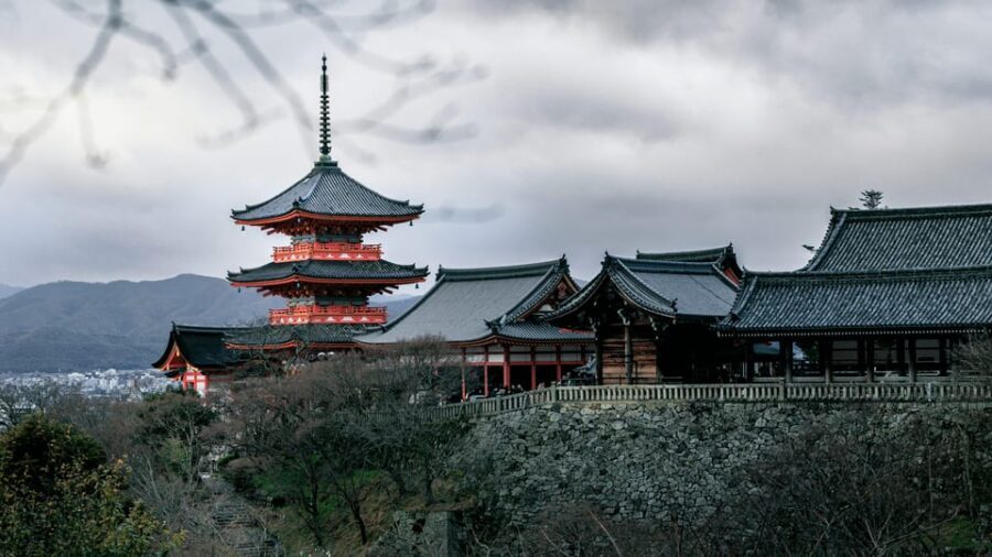 Private tour to Osaka&Kyoto&Nara(Pickup location selectable) - Driver, Not a Guide: How the Day Works (and How to Use It)