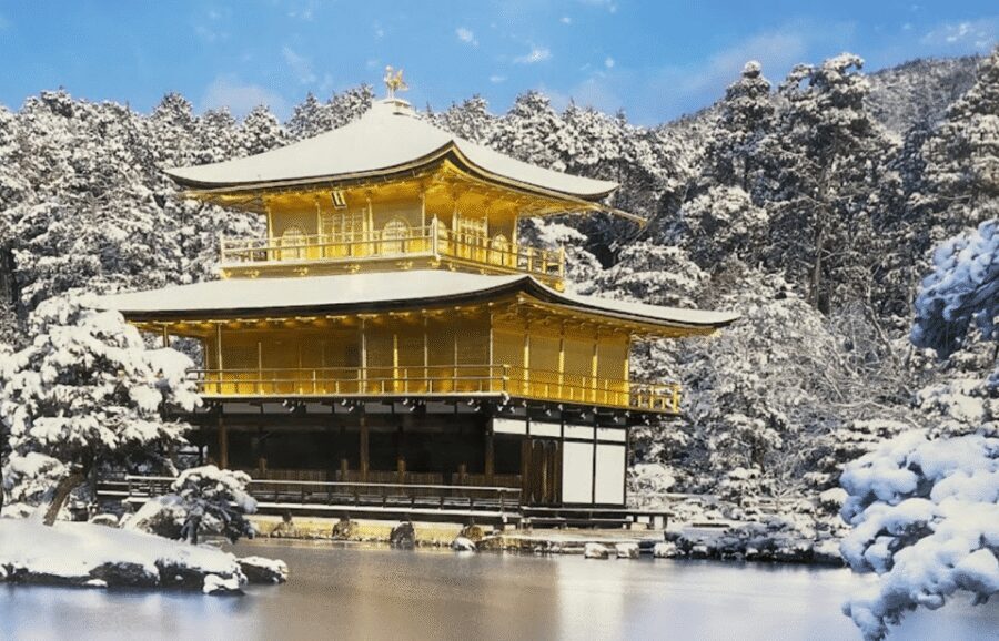 Private tour to Osaka&Kyoto&Nara(Pickup location selectable) - Getting Picked Up: Tokyo Downtown Limits and Confirming Your Start
