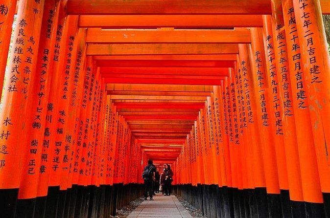 Private Transfer Between Kyoto and Kansai Airport KIX - Price and logistics: what you’re really paying for