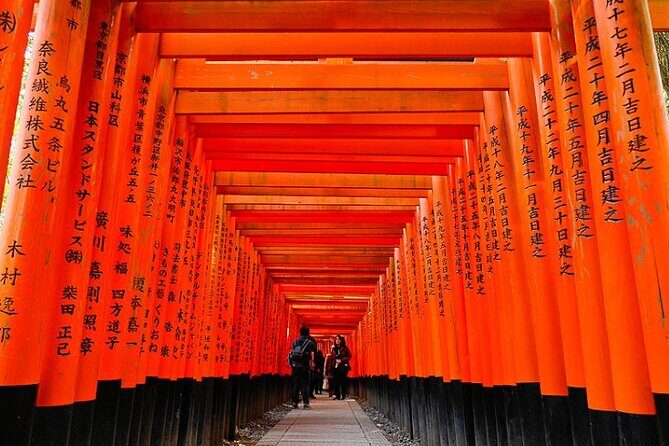 Private Transfer Between Kyoto and Kansai Airport KIX - Timing matters: late-night surcharge and planning your budget