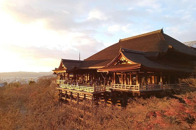 Private Transfer Between Kyoto and Kansai Airport KIX - What the ride feels like: comfort, cleanliness, and real-world ease