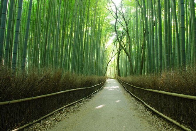 Sagano Romantic Train & Arashiyama, Kiyomizudera, Fushimi Inari Taisha Day Tour - Why This Kyoto-From-Osaka Route Works for First-Timers