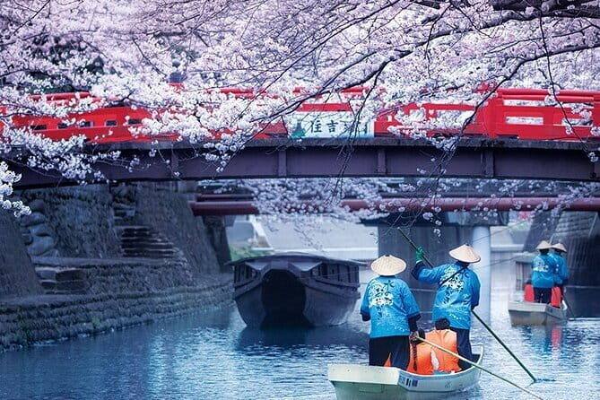 Sakura Magic and Nabana No Sato Day Tour From Osaka - Key Things I’d Prioritize on This Day Tour
