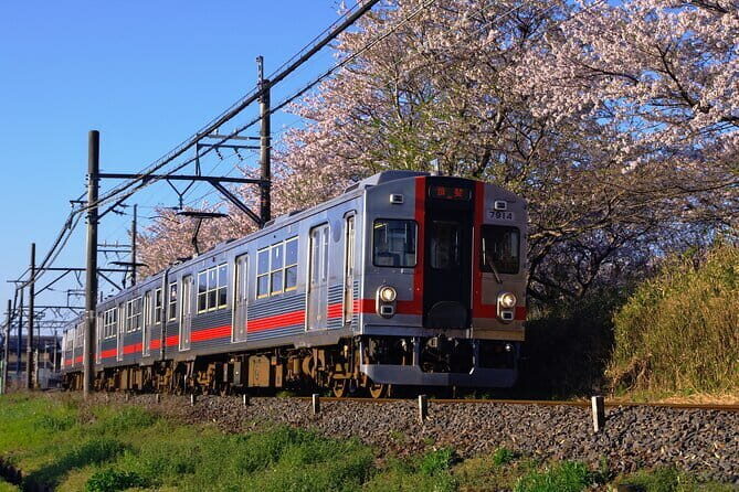 Sakura Magic and Nabana No Sato Day Tour From Osaka - Osaka Departure and the Rhythm of an 11-Hour Day