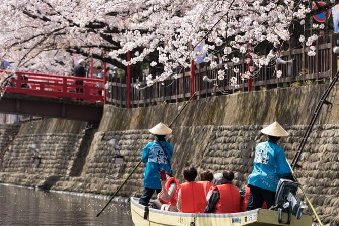 Sakura Magic and Nabana No Sato Day Tour From Osaka - Stop 2: Yoro-cho Sakura Tunnel on the Charter Train