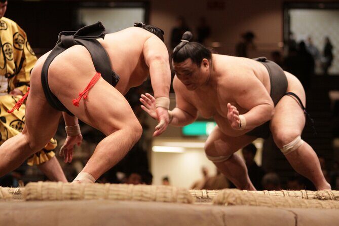 Sumo Wrestling Tournament Chair Seats & Expert Guide | Osaka Mar - Meeting at 2:00 pm: Your Guide Helps You Get Your Bearings Fast