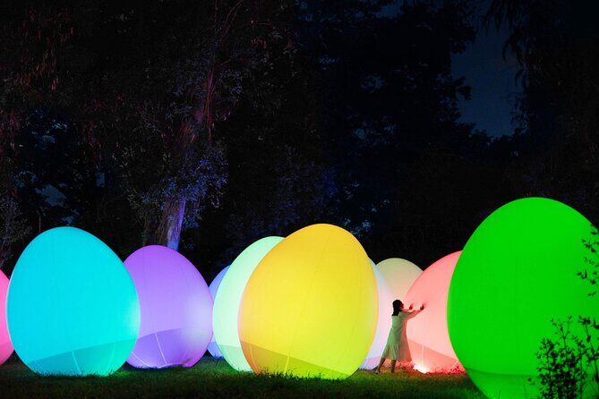 TeamLab Botanical Garden Osaka Ticket - Entering the dream: how the garden experience works at night